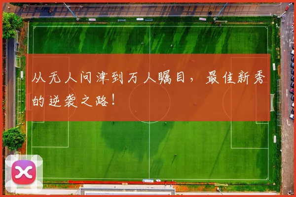 从无人问津到万人瞩目，最佳新秀的逆袭之路！
