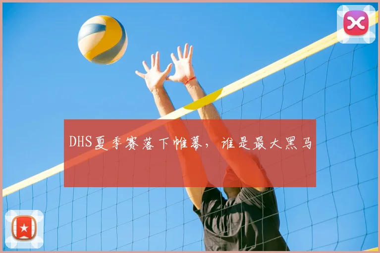 DHS夏季赛落下帷幕,谁是最大黑马