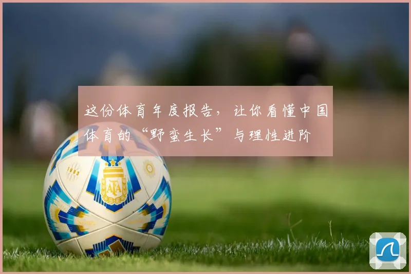 这份体育年度报告，让你看懂中国体育的“野蛮生长”与理性进阶